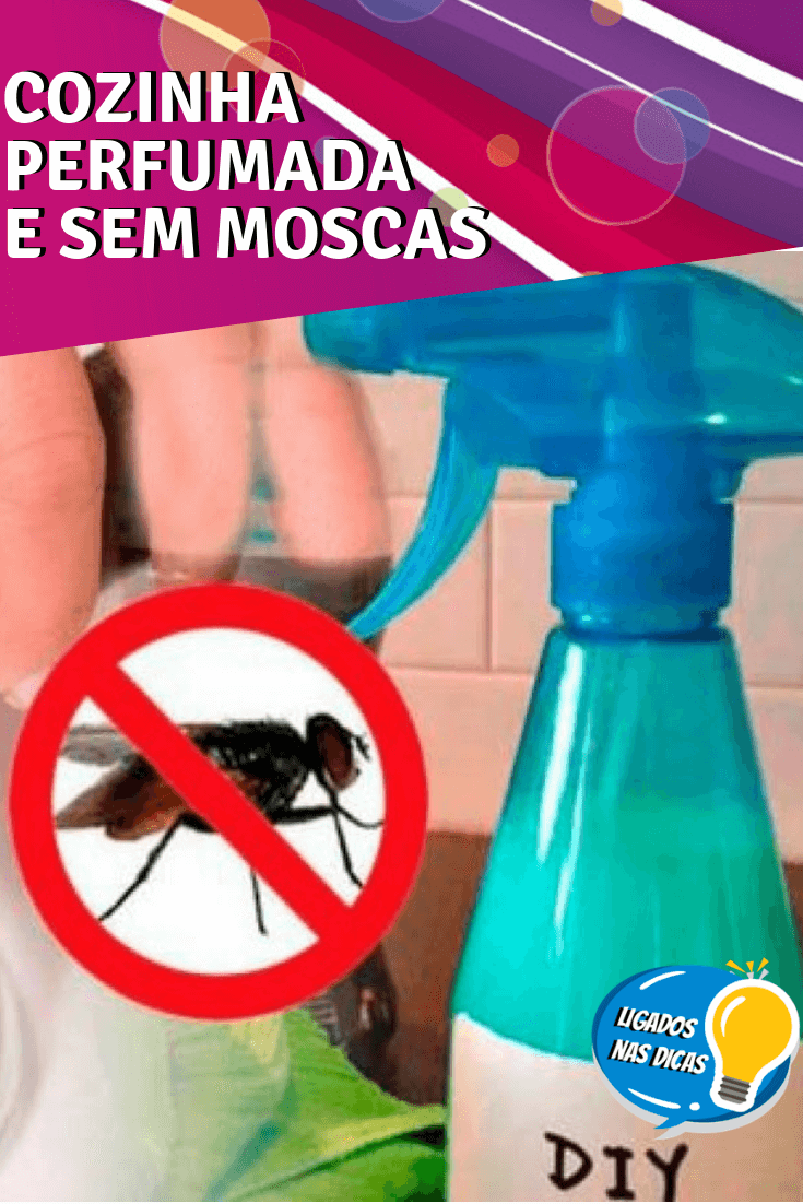 espantar moscas da cozinha espantar moscas da cozinha