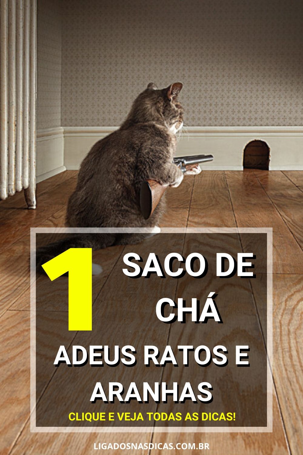 repelente contra ratos e aranhas