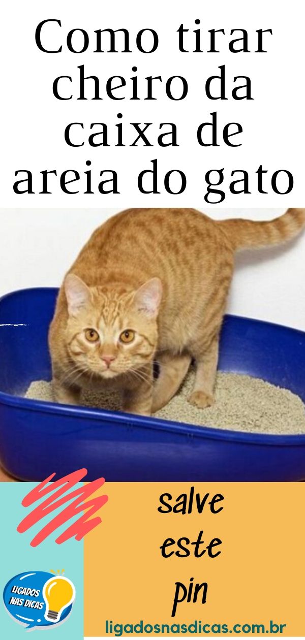 tirar cheiro da caixa de areia do gato