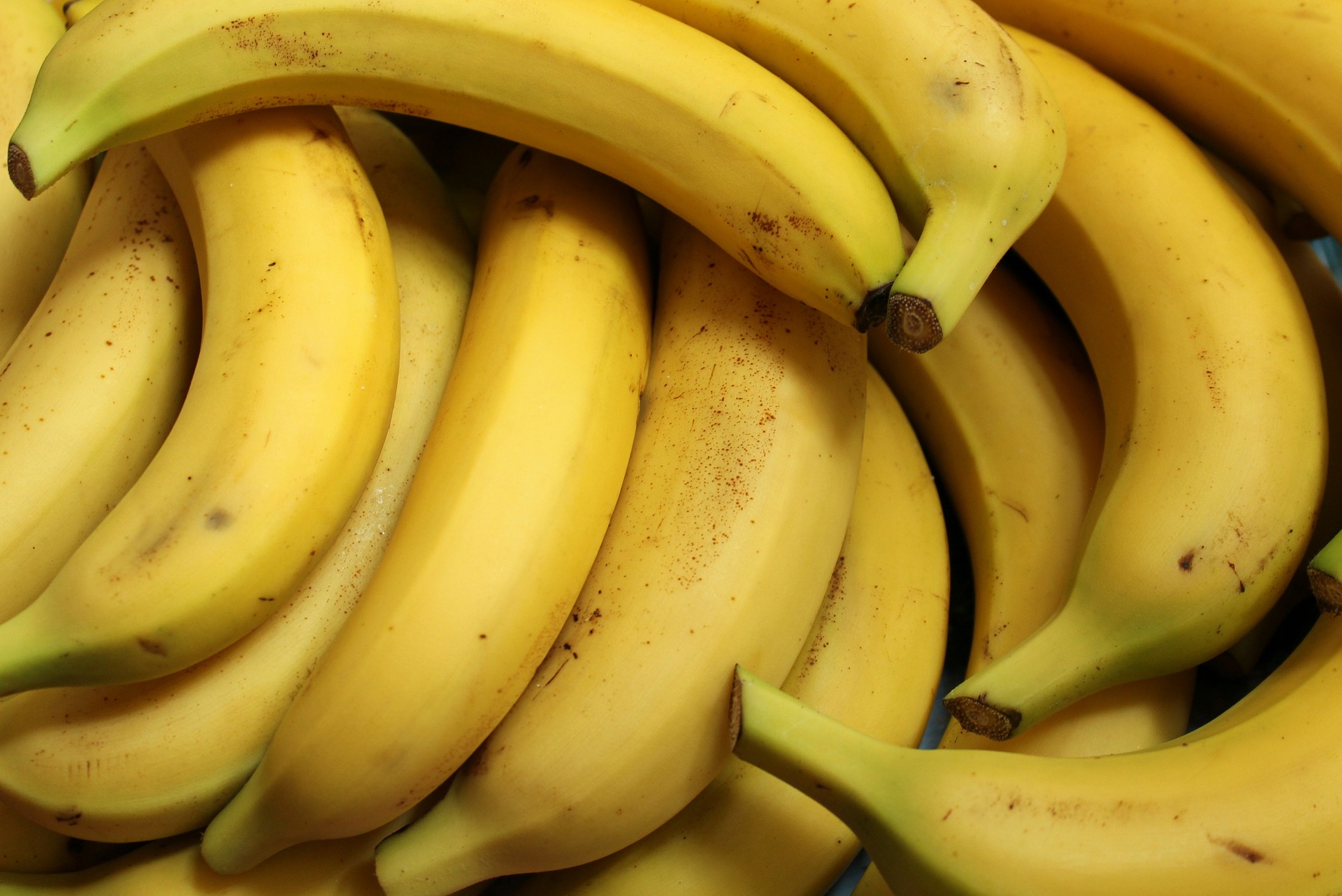 15 alimentos que afetam nosso corpo 15 alimentos que afetam nosso corpo
