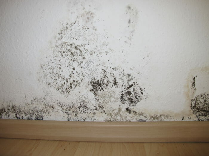 7 dicas para limpar azulejos e rejuntes 7 dicas para limpar azulejos e rejuntes