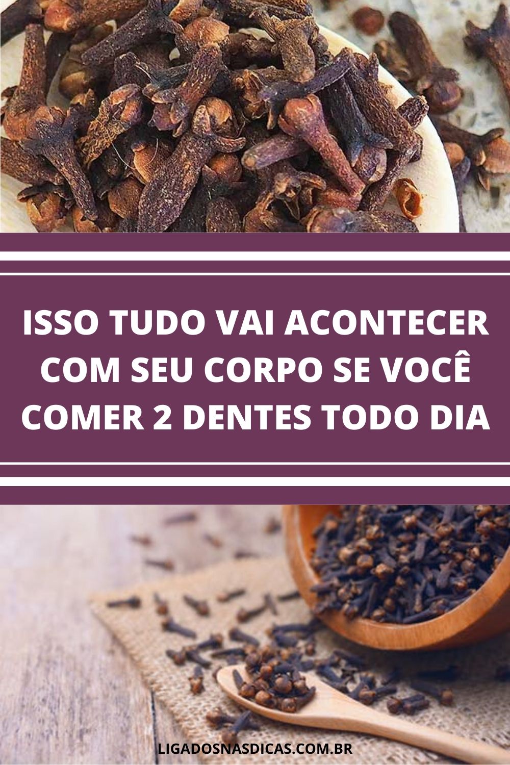 benefícios do cravo da índia benefícios do cravo da índia