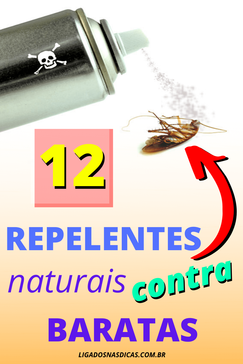 repelente natural contra baratas repelente natural contra baratas