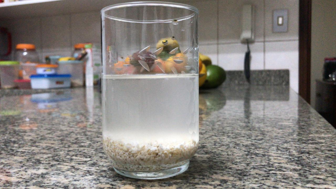 água de aveia para emagrecer