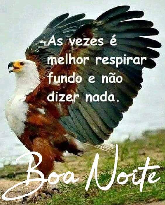 frases de boa noite frases de boa noite