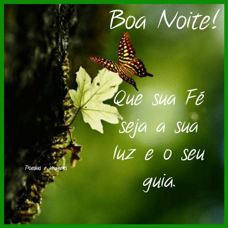 Frases de Boa Noite