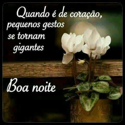 frases de boa noite