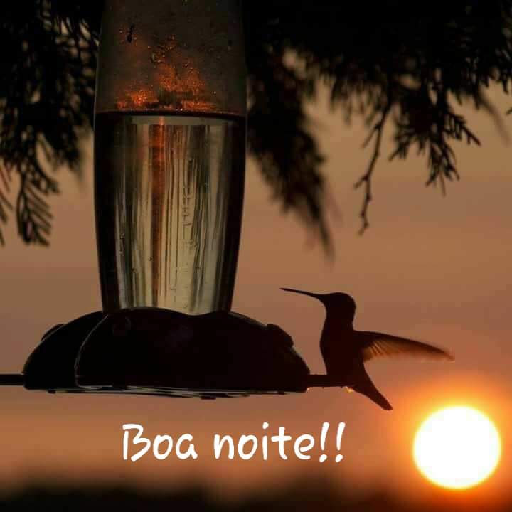 frases de boa noite frases de boa noite