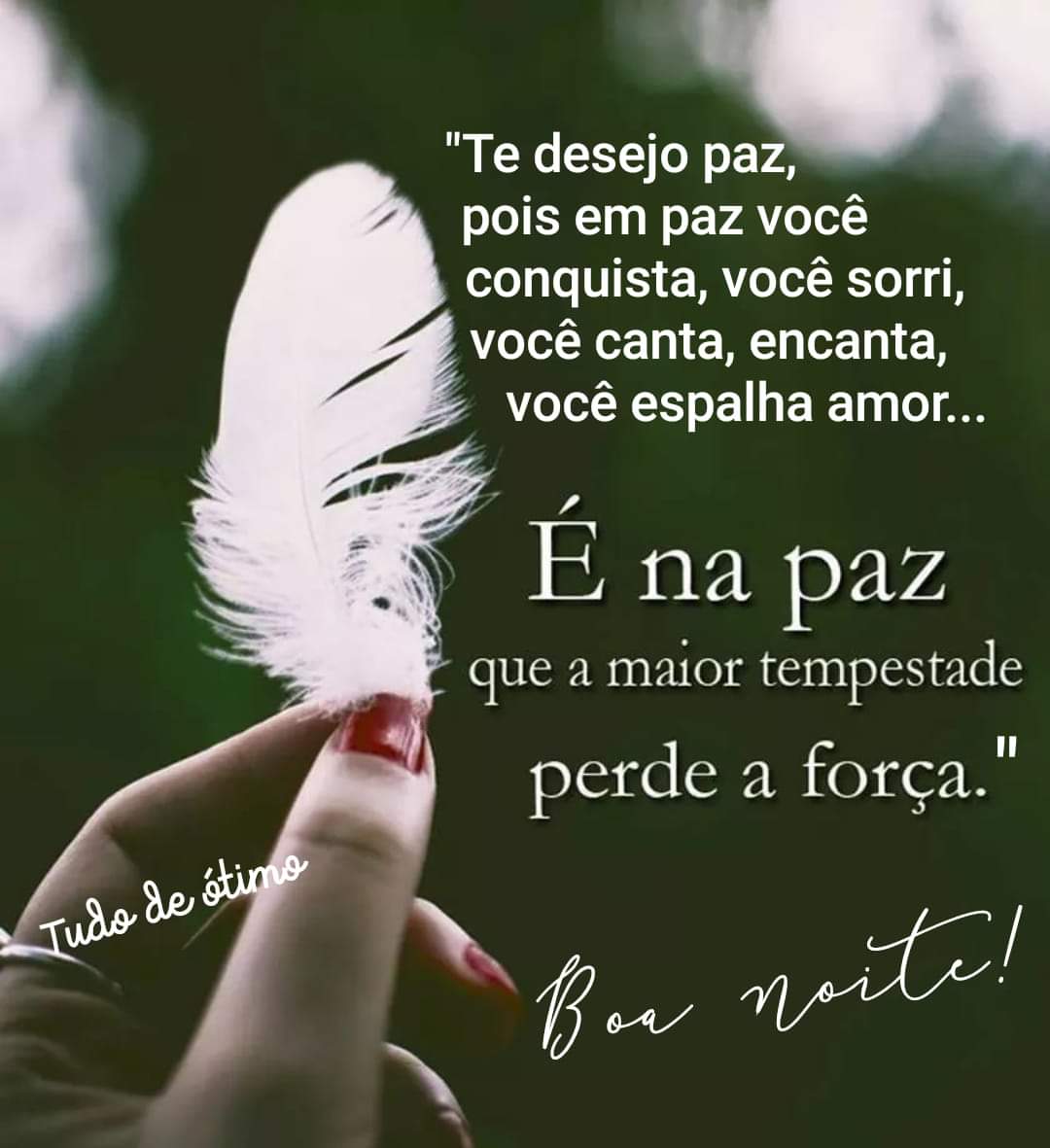 frases de boa noite