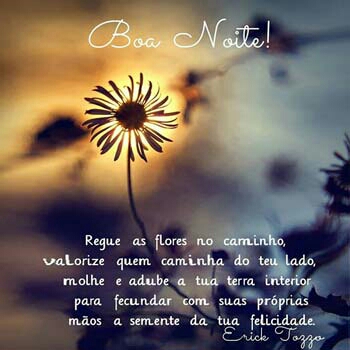 Frases de Boa Noite 