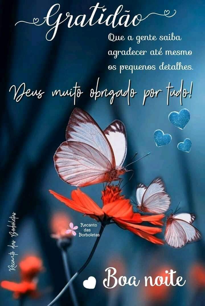 frases de boa noite