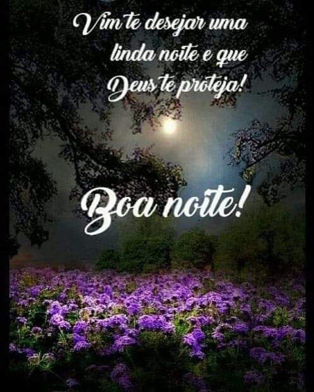 frases de boa noite