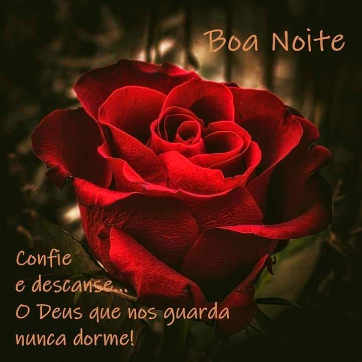frases de boa noite frases de boa noite