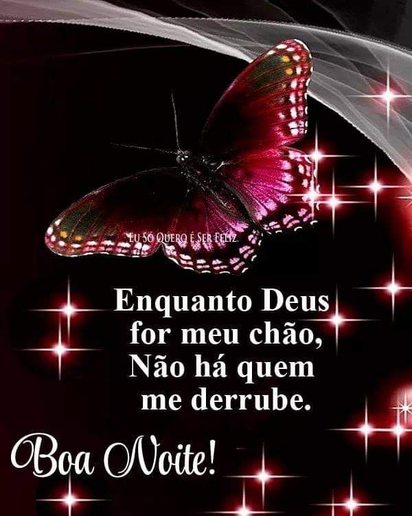 frases de boa noite frases de boa noite