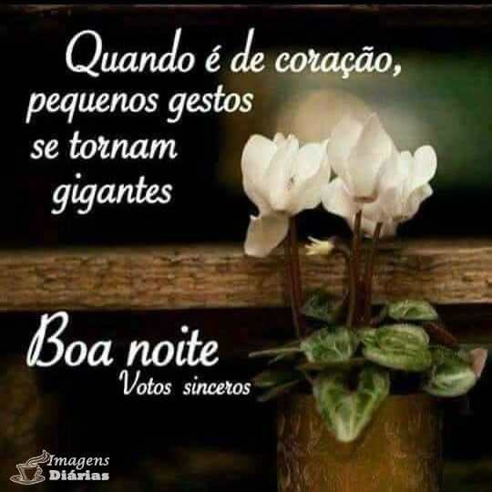 frases de boa noite frases de boa noite