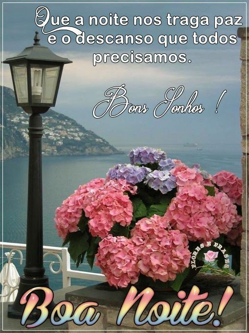 frases de boa noite frases de boa noite