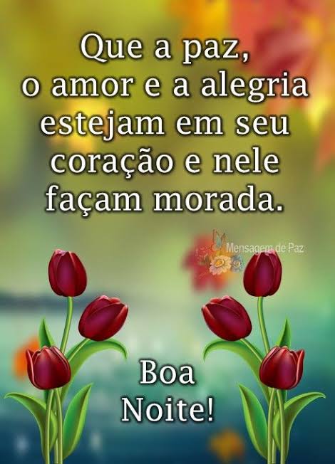 frases de boa noite frases de boa noite