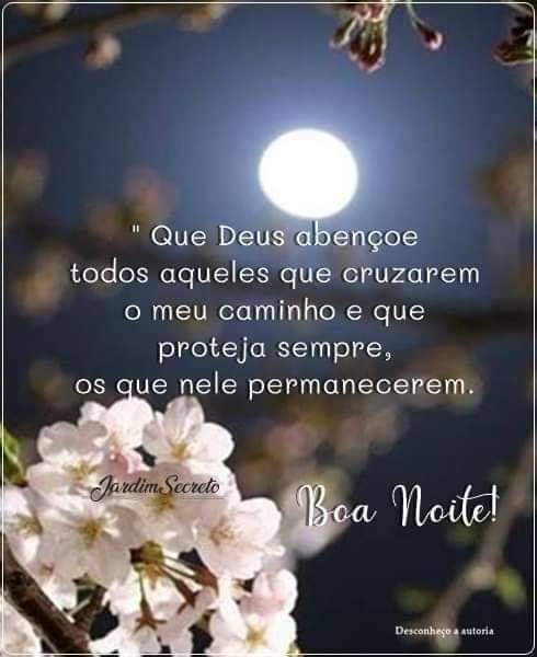 frases de boa noite frases de boa noite