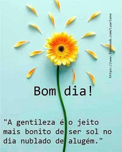 frases de bom dia frases de bom dia