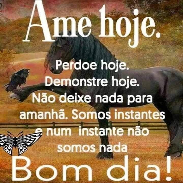 frases de bom dia frases de bom dia