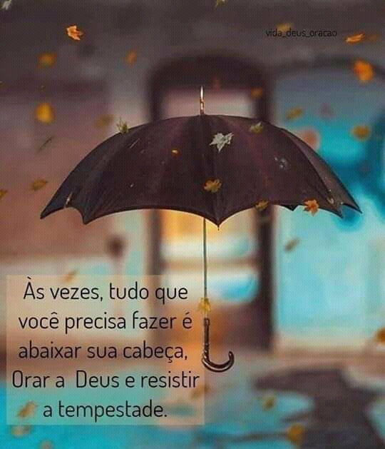frases de bom dia frases de bom dia