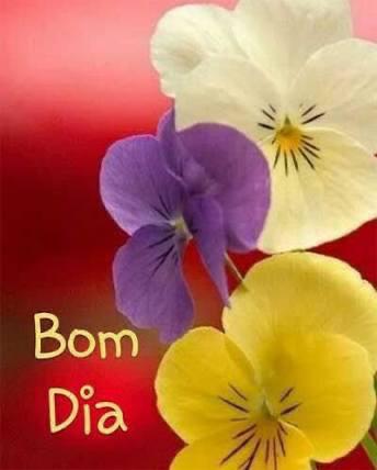 frases de bom dia frases de bom dia