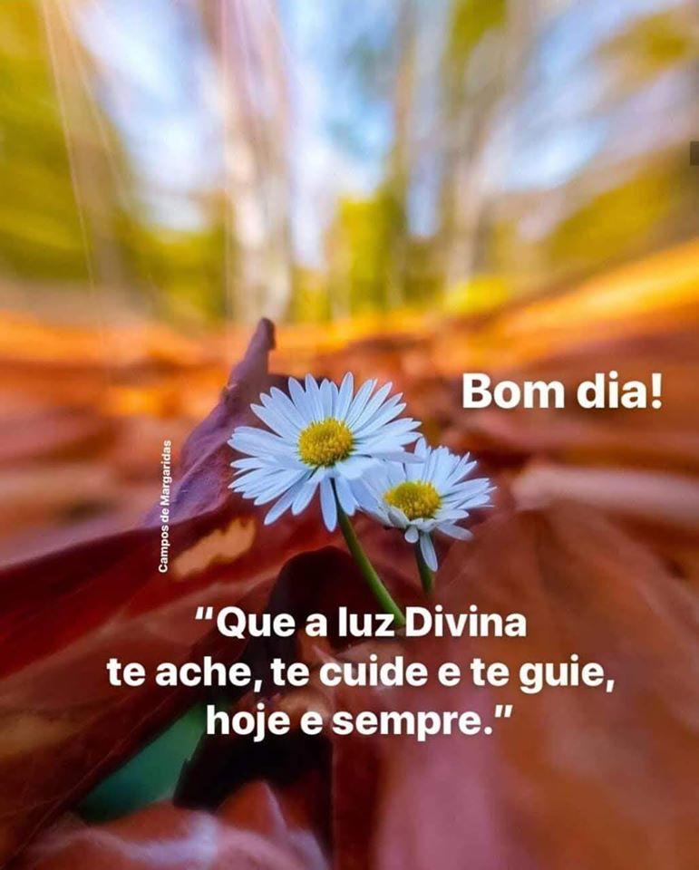 frases de bom dia frases de bom dia