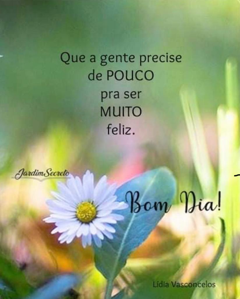 frases de bom dia frases de bom dia