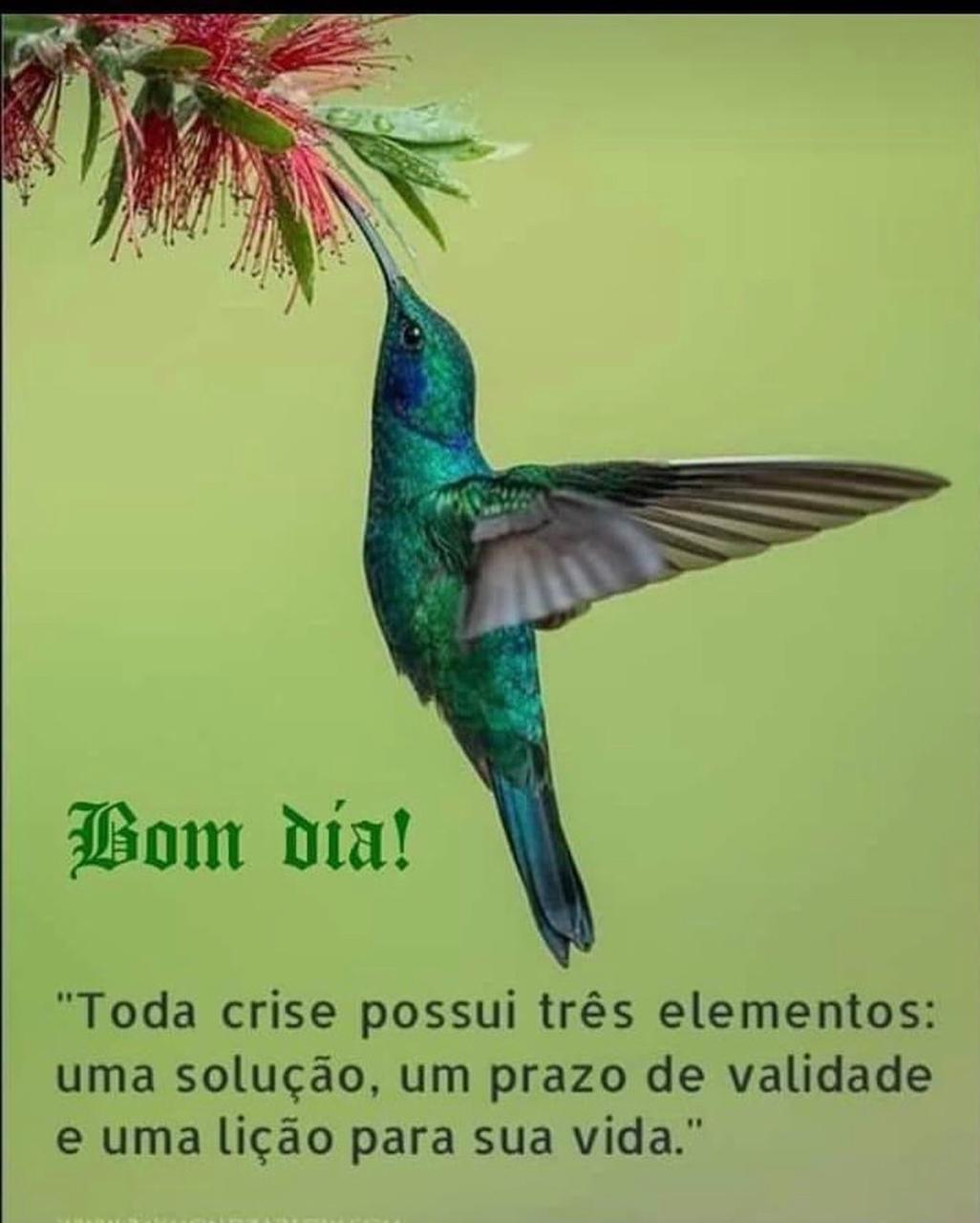frases de bom dia frases de bom dia