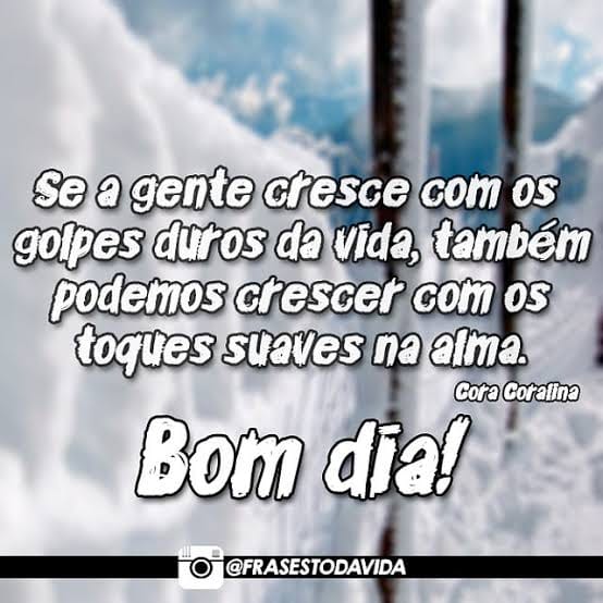 frases de bom dia frases de bom dia