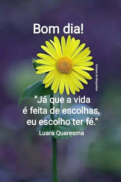 frases de bom dia frases de bom dia