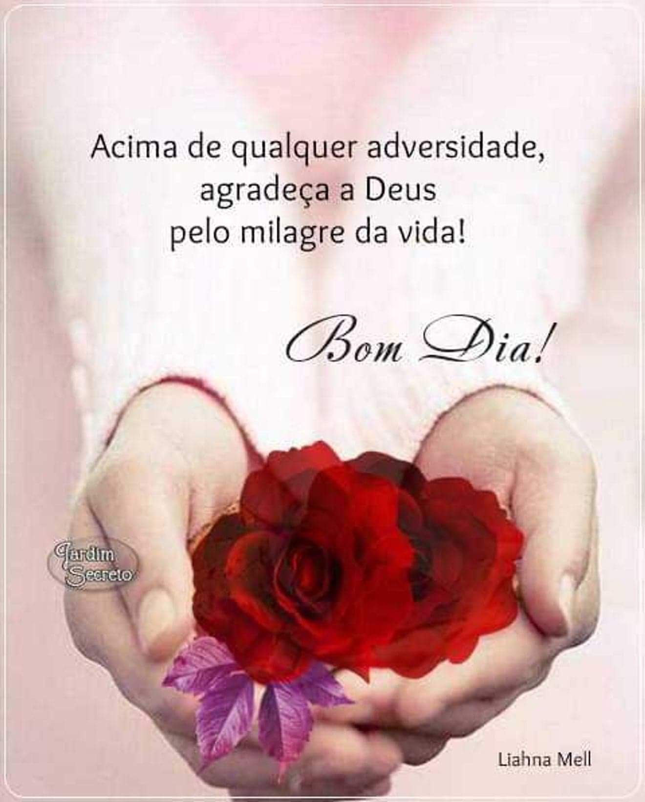 frases de bom dia frases de bom dia