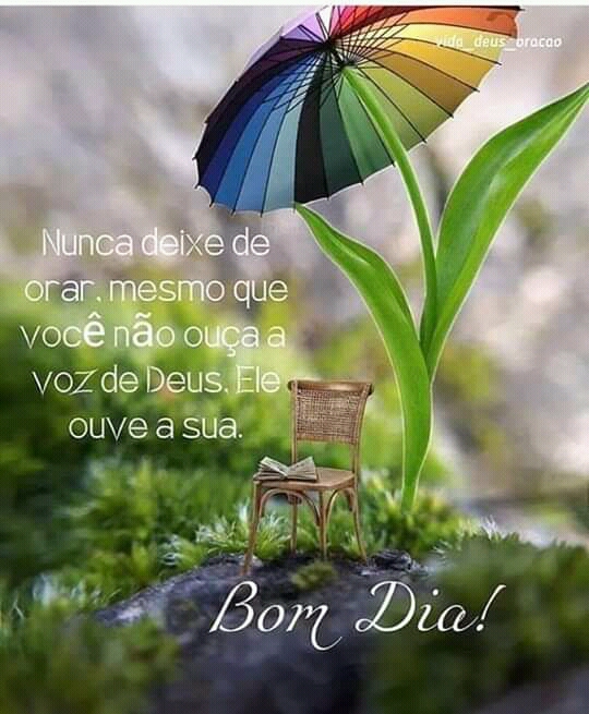 frases de bom dia frases de bom dia