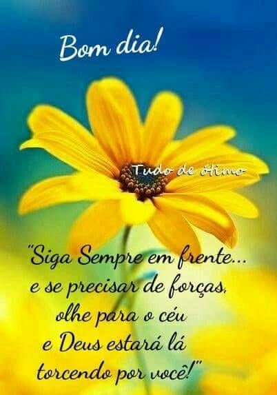 frases de bom dia frases de bom dia