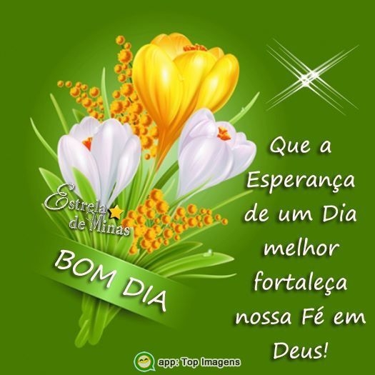 frases de bom dia frases de bom dia