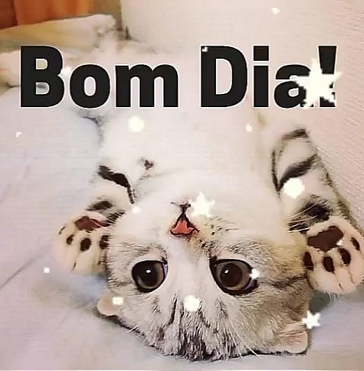 frases de bom dia frases de bom dia