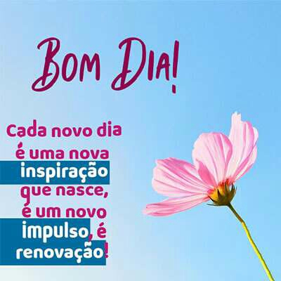 frases de bom dia frases de bom dia