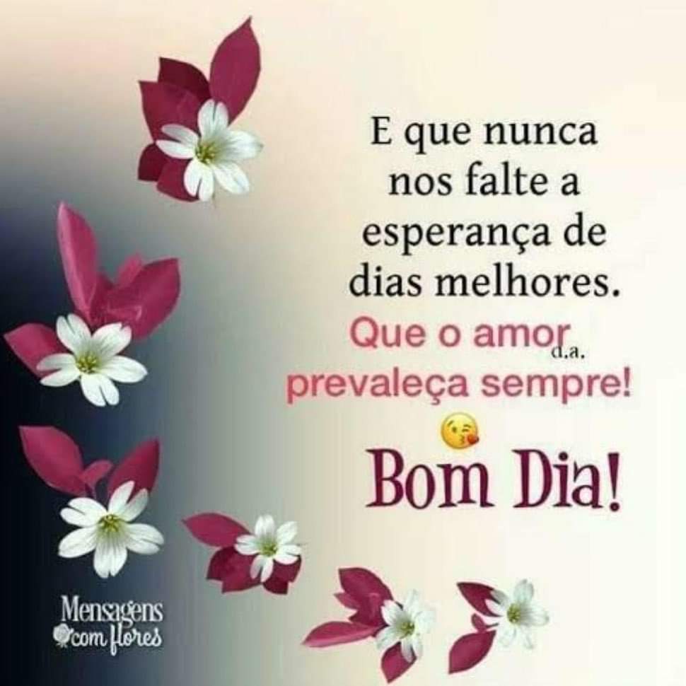 frases de bom dia frases de bom dia