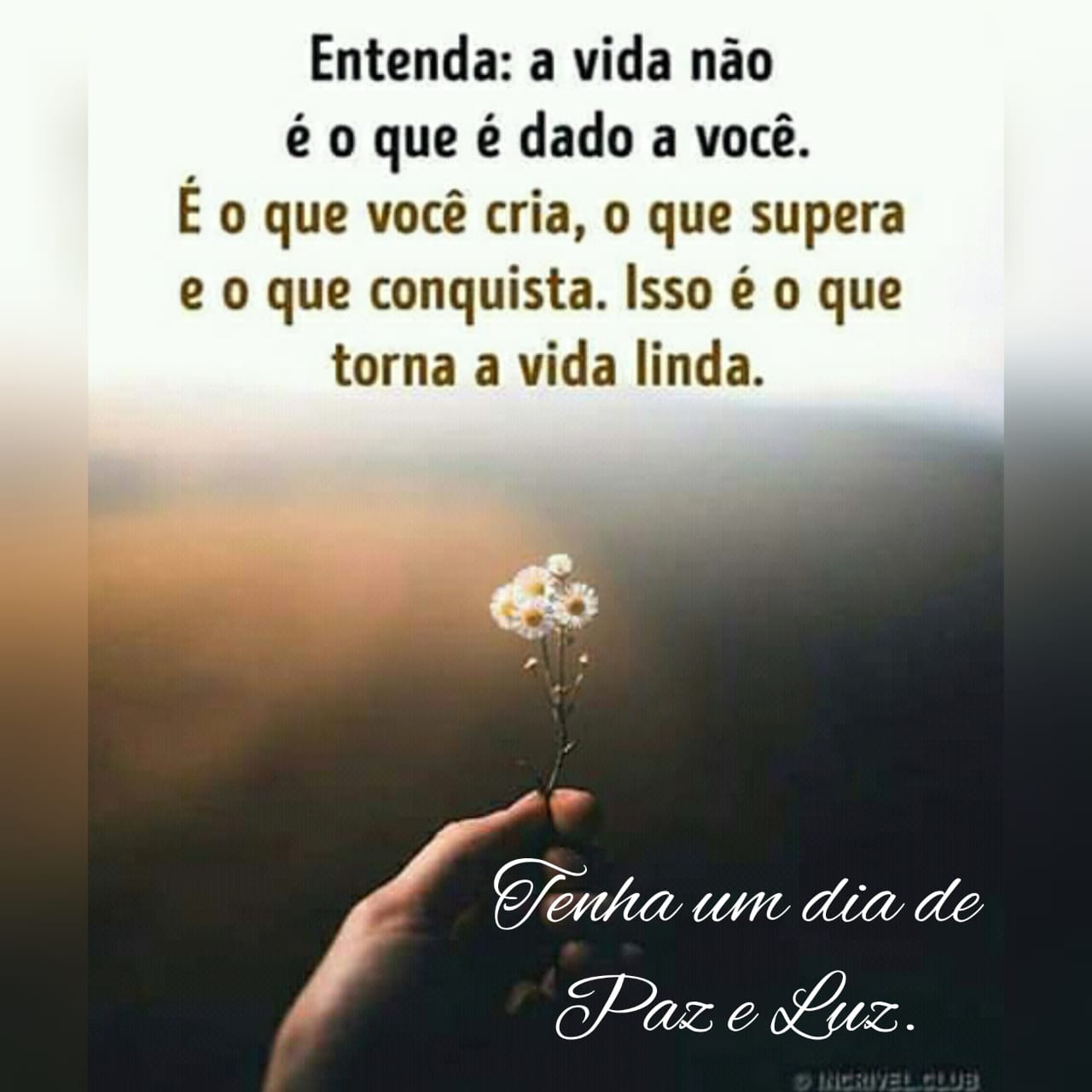 frases de bom dia frases de bom dia