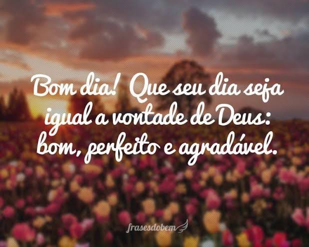 frases de bom dia frases de bom dia