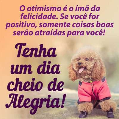 frases de bom dia frases de bom dia