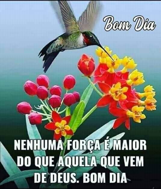 frases de bom dia frases de bom dia