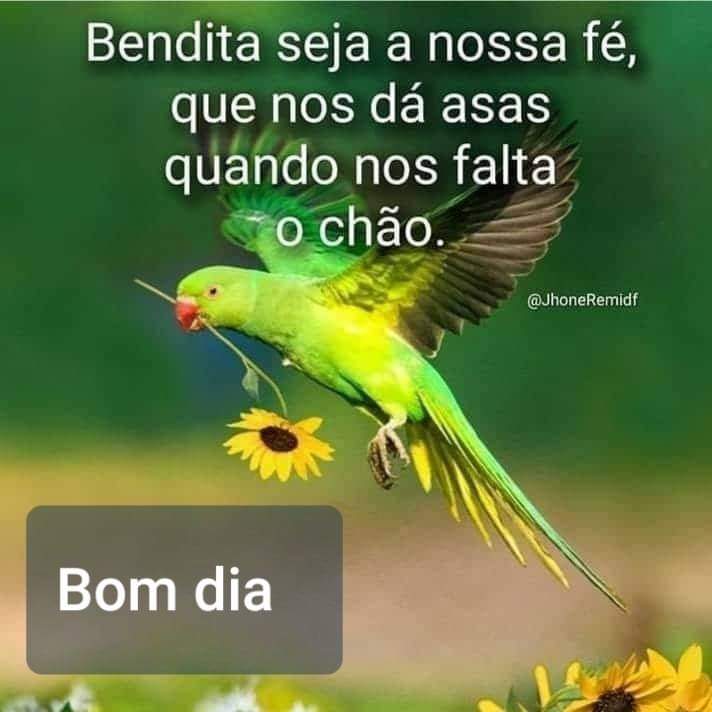frases de bom dia frases de bom dia