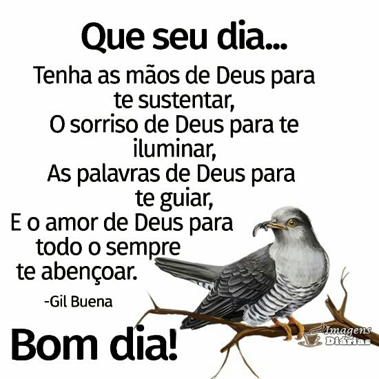 frases de bom dia frases de bom dia