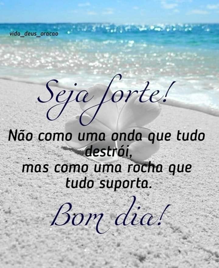 frases de bom dia frases de bom dia