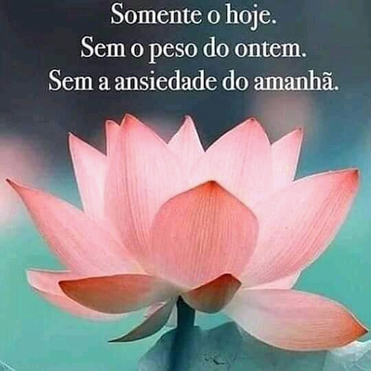 frases de bom dia frases de bom dia