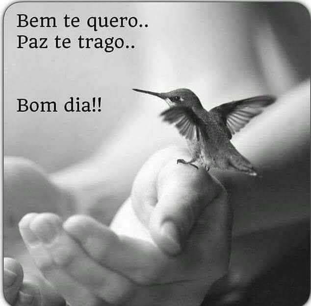 frases de bom dia frases de bom dia