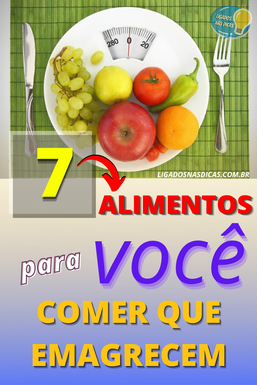 alimentos para emagrecer