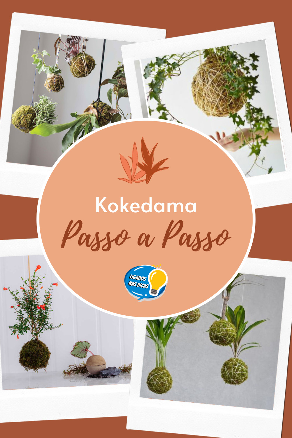 kokedama