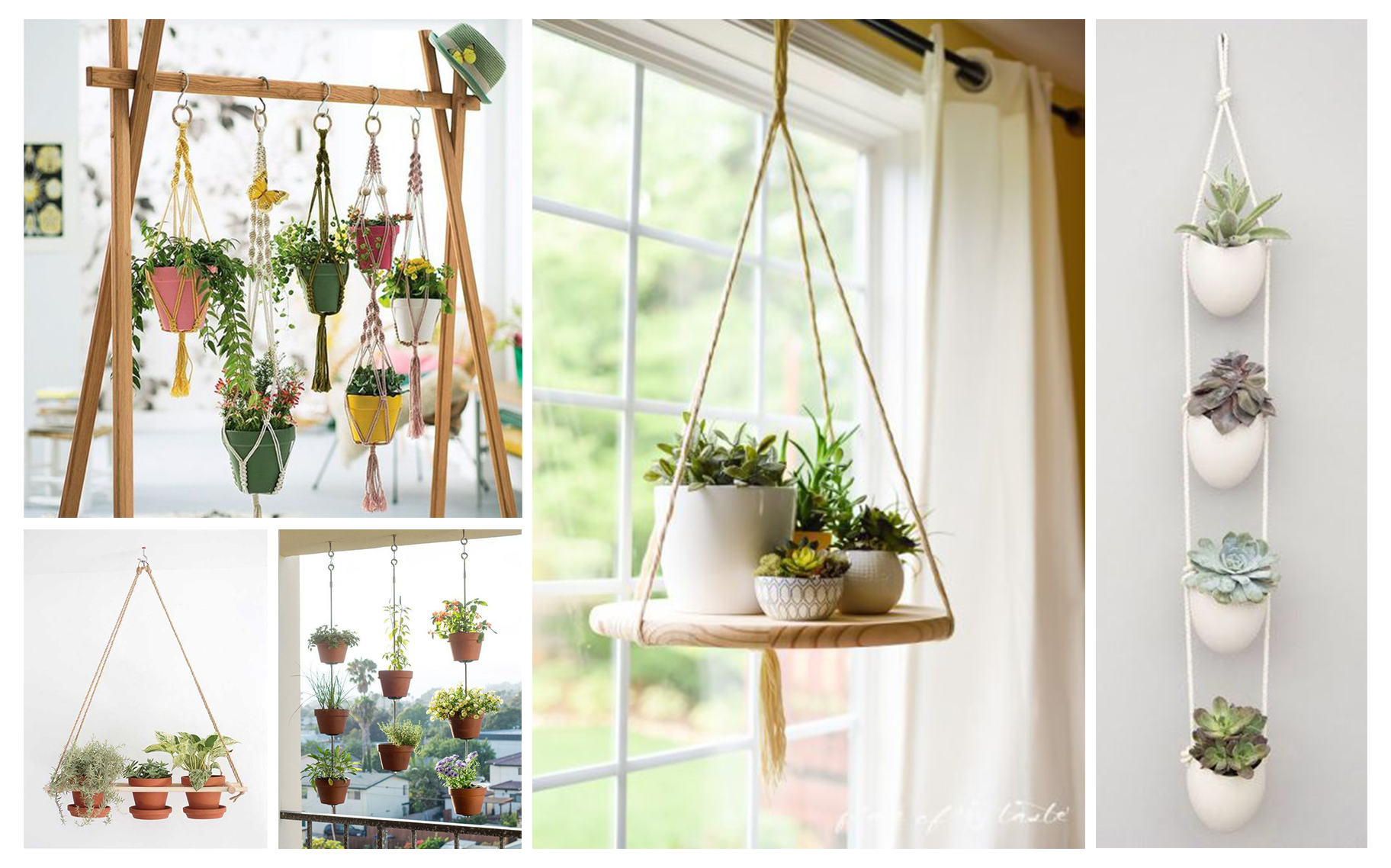 mini horta em casa